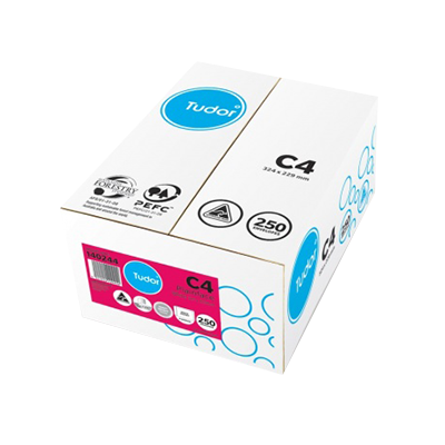 C4 - 324x229 White Plainface Pocket Strip Seal Non-Secretive